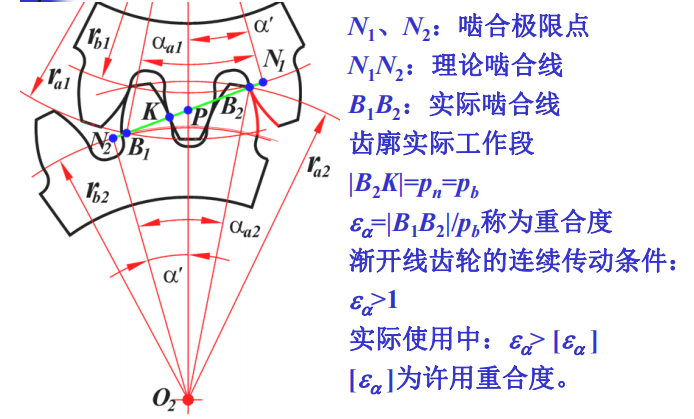 重合度